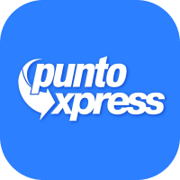 Punto express-flag